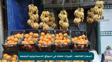 أسعار الفاكهة.. تغيرات ملفتة في أسواق الإسماعيلية الجمعة